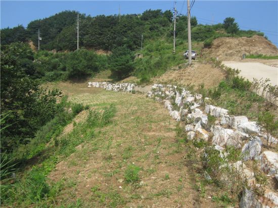 산림청, 생태계 보물창고 DMZ 20억원 들여 복원