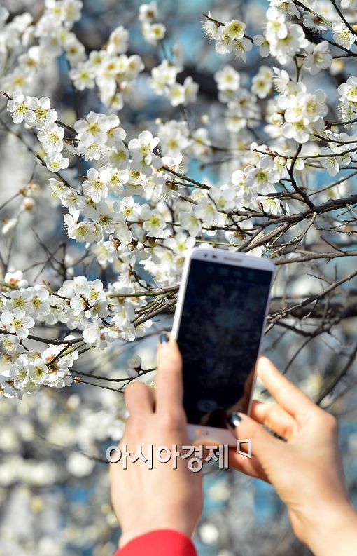 [포토]'이젠 봄'