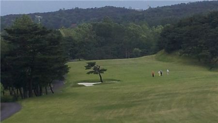 軍골프캐디 성희롱 논란 장성 3명 징계위 회부