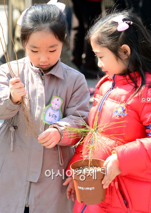 [포토]'신기한 묘목'