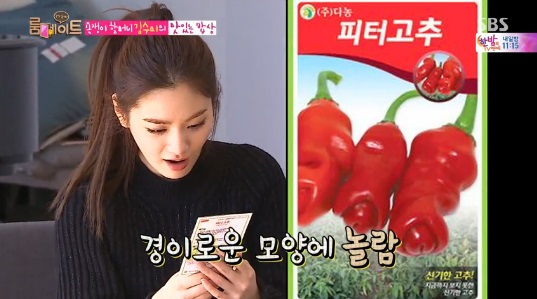 피터고추. 사진=SBS 방송화면 캡처
