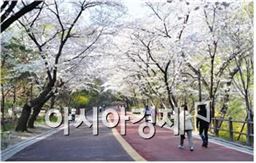 카메라에 서울 공원의 사계절을 담아 봐요