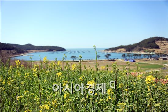 영상으로 만난 완도 청산도, 이젠 직접 느껴보세요!