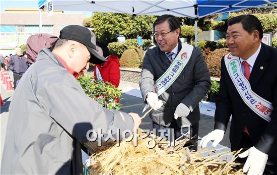 해남군, “나무 나누어주기”행사 개최