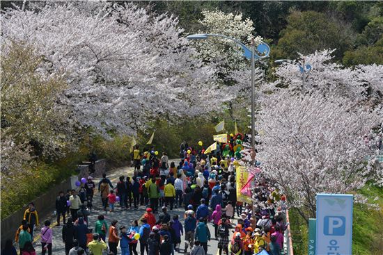 ‘꽃피는 유달산축제’ 내달 4일 ‘팡파르’