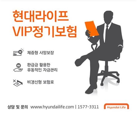 현대라이프, 맞춤형 보장 'VIP정기보험' 출시