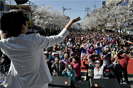 지난해 송중동 벚꽃축제 모습. 
