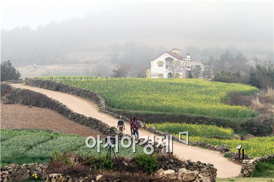 ‘느림은 행복이다’ , 완도 청산도 슬로걷기축제 개막