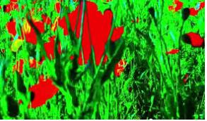 장 뤽 고다르 '언어와 작별' 등 미술관 영화제 '막간'