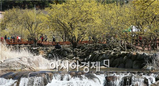 암 경험자 자조모임 구례 꽃길 걸으며 힐링