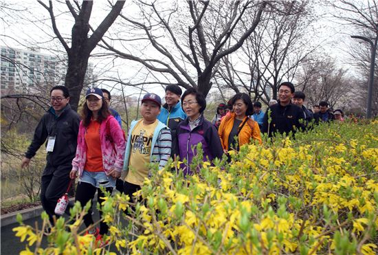 ‘강남 7540 양재천 벚꽃길 걷기축제' 개최