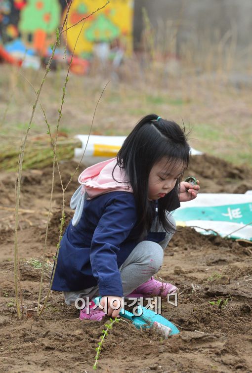 [포토]고사리손으로 나무 심어요 