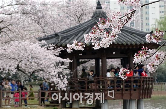 [포토]휴일 벚꽃인파