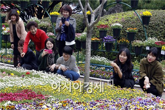 6일 오전 광주 북구청 광장에서 열리고 있는 시민과 함께 하는 봄꽃잔치에 구경나온 주민들이 형형색색 피어있는 봄꽃을 보며 즐거워 하고 있다. 오는 15일까지 열리는 이번 봄꽃잔치는 팬지, 서양화, 가자니아 등 봄꽃 12만본이 전시되있다. 또 14일까지 구청광장에서 어린이 재롱잔치도 열린다. 사진제공=광주시 북구