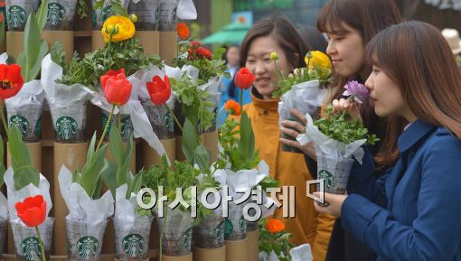 [포토]스타벅스, '커피찌꺼기 재활용 꽃 화분이에요~'