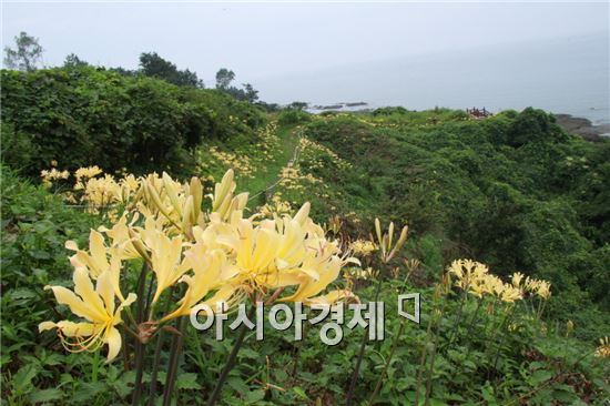 부안 변산마실길 2코스, 야생화 관광자원화 공모 선정