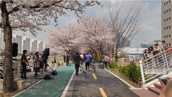 금천구, 벚꽃 만개한 안양천에서 런치콘서트 열어 