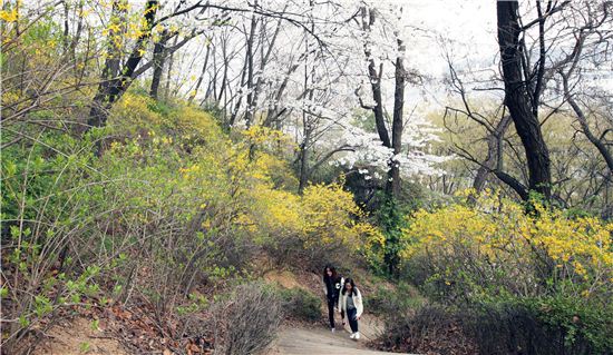 걷기 좋은 길, 동작구 고구동산길과 까치산길 