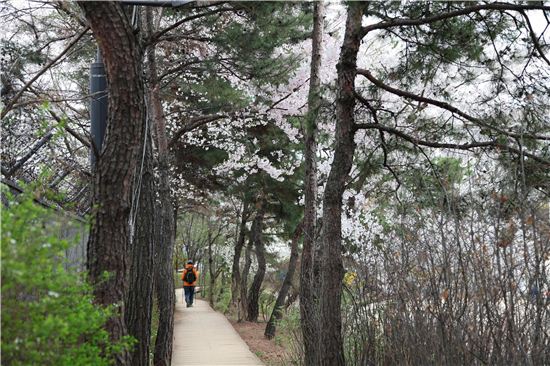 걷기 좋은 길, 동작구 고구동산길과 까치산길 