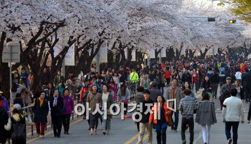 11일 날씨, 전국 대체로 맑음…"봄나들이 가기 좋은 날씨에요"