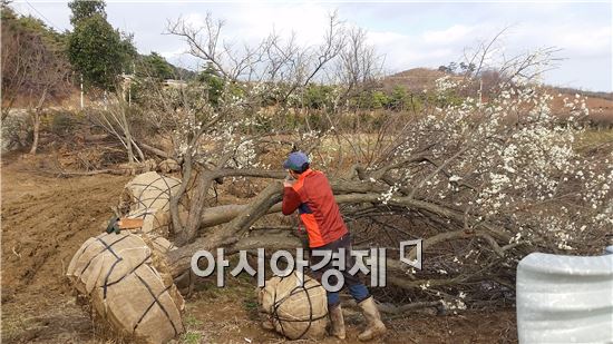 순천시, 나무은행 운영으로 예산 절감·경관UP