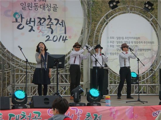 강남구 일원동 대청골 왕벚꽃 축제 오세요 