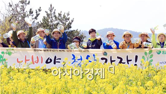 2015 완도 청산도 슬로걷기축제 공식 행사 개최