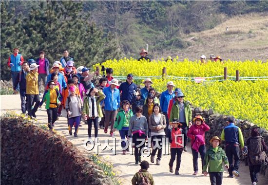 [포토]슬로시티 완도 청산도 관광객 인산인해