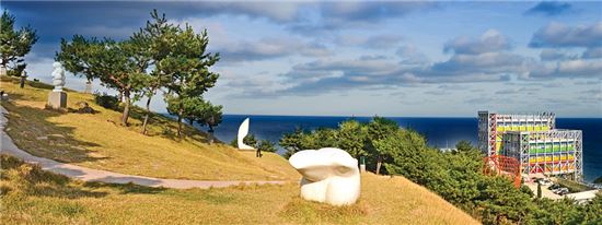 조각공원·뮤지엄호텔, 공간이 곧 예술…정동진 '하슬라'