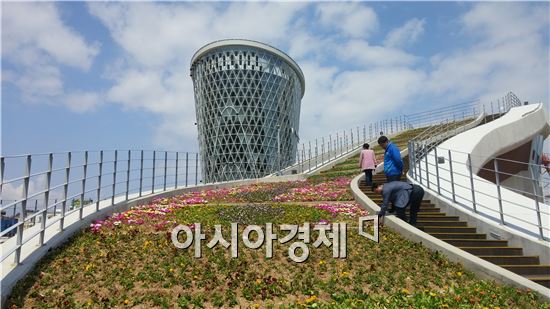 완도 해조류센터 봄맞이 꽃 단장~방문객 발길 이어져