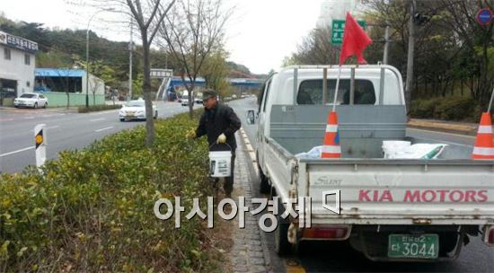 순천시, 가로수 및 보차도 화단 등 비료주기 실시 