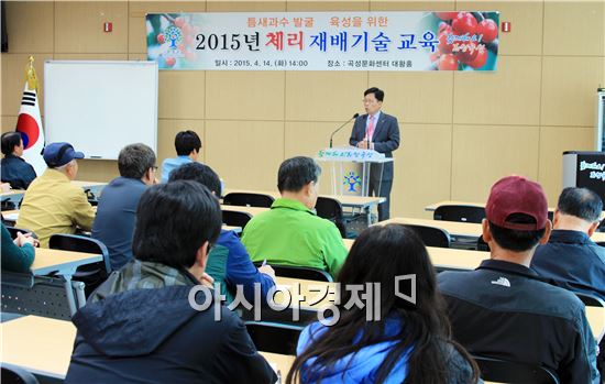 곡성군, 틈새과수 발굴을 위한 체리 재배기술 교육 실시
