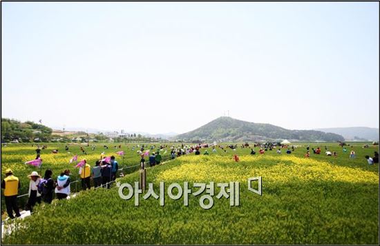 제4회 영광 찰보리문화축제 5월8일 개최