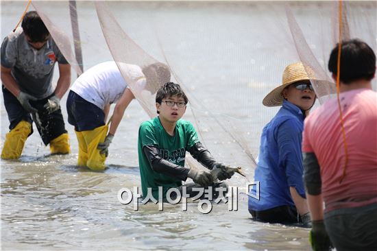 완도갯벌에서 맨손 고기잡이 행사 5월2일 개최