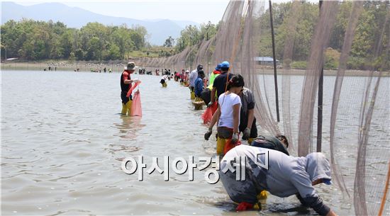 완도갯벌에서 맨손 고기잡이 행사 5월2일 개최