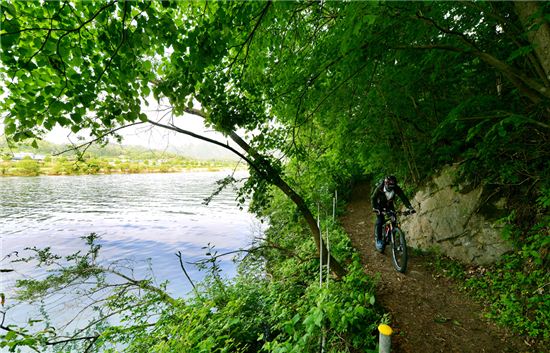 [여행만리]겨울 산천어로 뜬 화천…봄빛으로 물들다