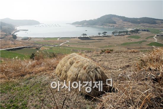 청산도 전통 장례인 초분의 모습.