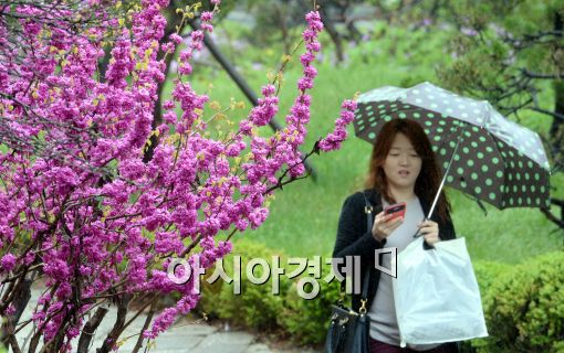 [오늘날씨] 전국 흐리고 오후부터 서울·경기·충청 북부 봄비