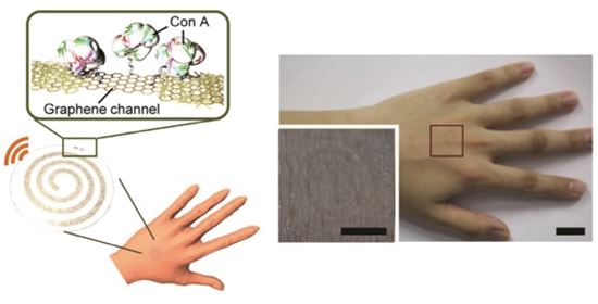 피부에 붙이는 무선스마트 센서 개발됐다 