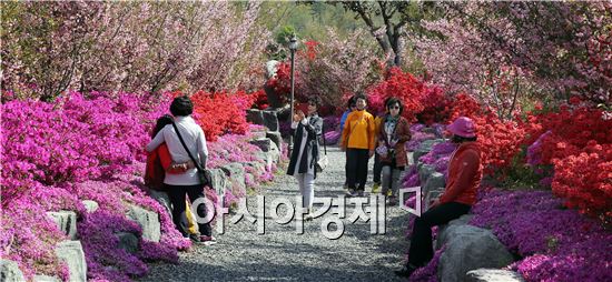 완연한 봄 날씨를 보인  22일 전남 강진군 군동면 풍동마을 남미륵사 경내 1000만 그루 철쭉이 형형색색의 꽃으로 단장해 탐방객들을 유혹하고 있다. 사진제공=강진군
