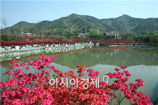 완연한 봄 날씨를 보인  22일 전남 강진군 군동면 풍동마을 남미륵사 경내 1000만 그루 철쭉이 형형색색의 꽃으로 단장해 탐방객들을 유혹하고 있다. 사진제공=강진군