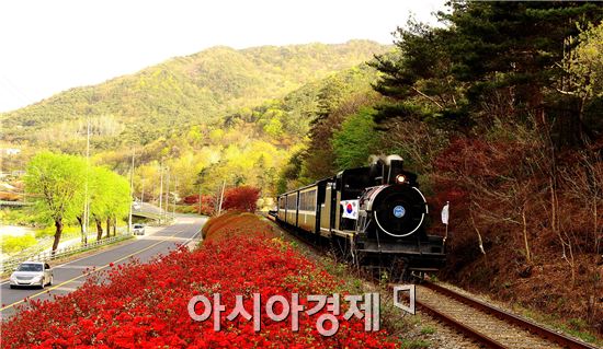 곡성군, ‘봄 관광주간’맞이 숙박업·음식업 특별할인 실시