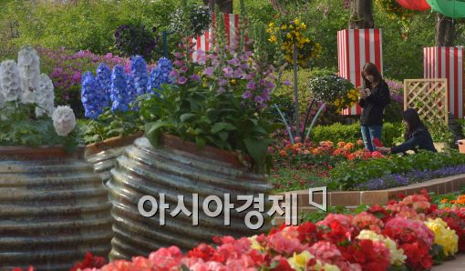 [포토]활짝 핀 꽃들, 2015 고양국제꽃박람회 D-1