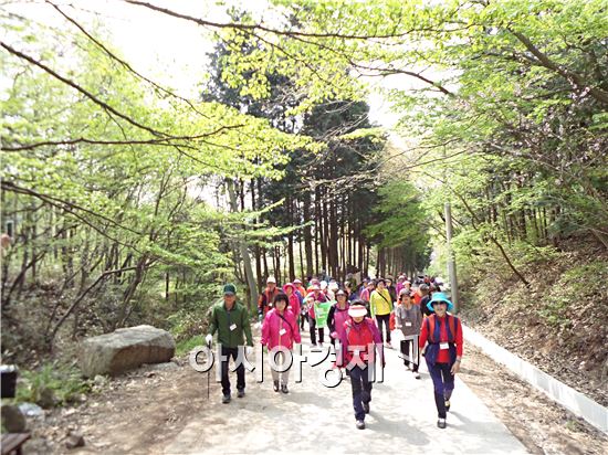 장성군, “편백 숲 길 걸으며 고혈압·당뇨 이겨내요”
