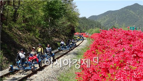 [포토]레일바이크 타고 봄을 만끽하는 상춘객들