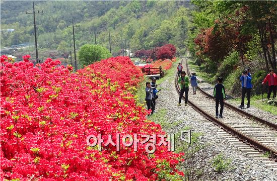 [포토]곡성 섬진강변에서 봄을 즐기는 상춘객들