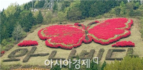 함평나비축제를 앞둔 26일 함평군 월야면 산등성이 나비동산에 화려한 나비가 내려앉아 이곳을 지나는 관광객들의 시선을 붙잡고 있다.

온가족이 함께 즐거운 축제, 제17회 함평나비대축제가 오는 5월1일부터 10일까지 함평군 함평읍 함평엑스포공원에서 펼쳐진다.
 
 ‘나비와 함께 풍요롭고 행복한 세상’이라는 주제로 열리는 이번 축제는 나비와 꽃, 곤충을 주제로 한 26개 체험행사, 13개 기념행사, 42회 문화예술 공연이 열린다.