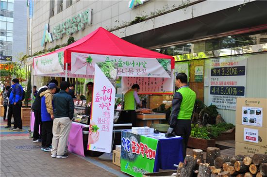 우리 숲에서 자란 ‘제철 봄나물 큰 잔치’ 