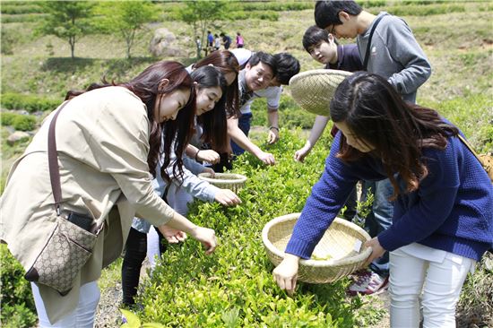 보성군, 녹차홍보단 ‘그린 원정대’ 모집