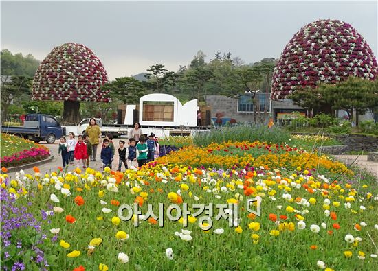 [포토]온통 꽃으로 만들어진 함평나비축제장